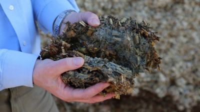 9 warning signs of mycotoxins in your dairy herd