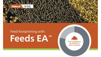 Feeds EA