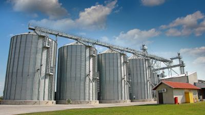storage mycotoxins in animal feed