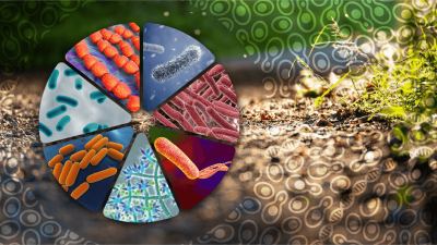 Microbial metabolites image