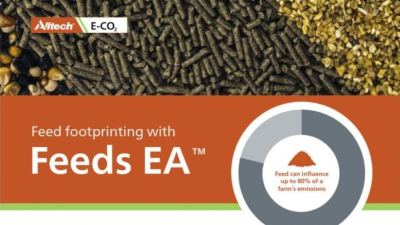 FEEDS EA