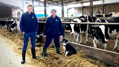 Using Optigen to reduce soya use