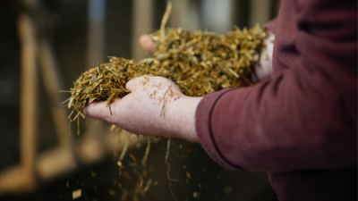 Новый мета-анализ жвачных животных от Alltech рассматривает проблему нехватки белка, углеродный след и рентабельность 