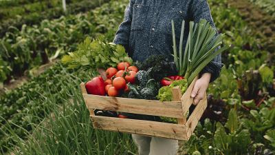 ¿CÓMO PUEDE COMBATIR EL CAMBIO CLIMÁTICO LA AGRICULTURA?   