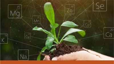 Alltech publica informe técnico sobre cómo  los minerales traza orgánicos mejoran la biodisponibilidad de los minerales a través de la quelación