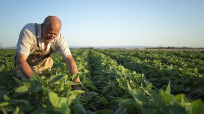 Agricultura sostenible y huella de carbono en cultivos – SALUD DEL SUELO