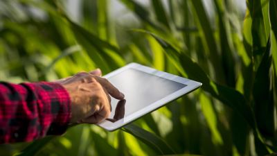 Hombre consultando tablet para labores en el campo