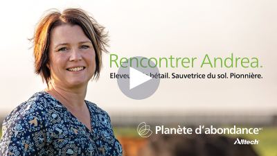 Shipwheel traville pour une Planète d'Abondance