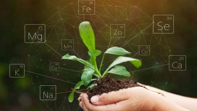 Organic Trace Minerals