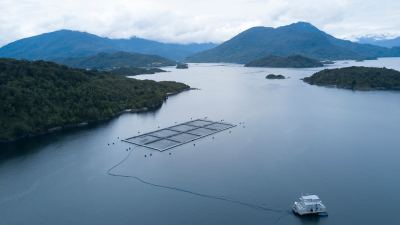Alimentar al mundo con un salmón sostenible