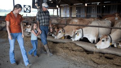 Chaney's dairy 