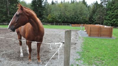 horse area with compost bins nearby