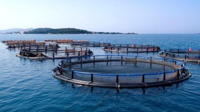 Greece-FishPens