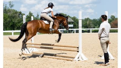 horse show prep