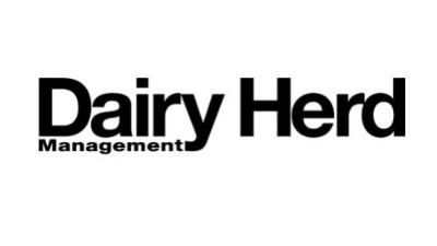 Dairy Herd