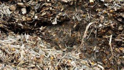 Mitigating the threat mycotoxins pose on milk margins