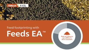 Feeds EA