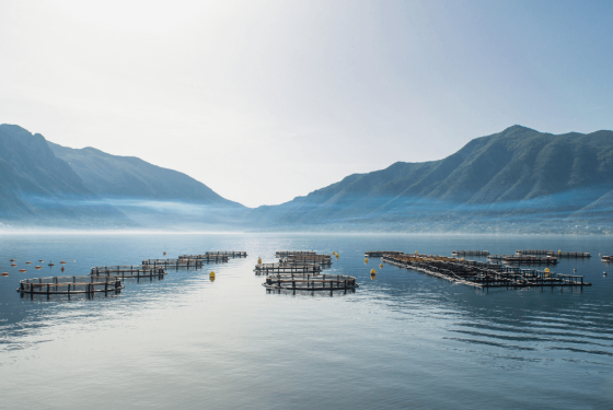 aquaculture