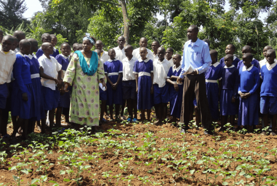 Solve hunger in africa