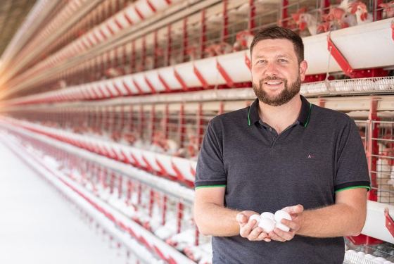 Granja-Pavão-Egg-Producer_1200x675