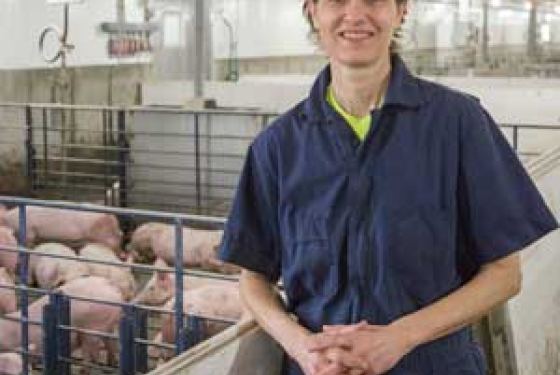 Lori-Stevermer