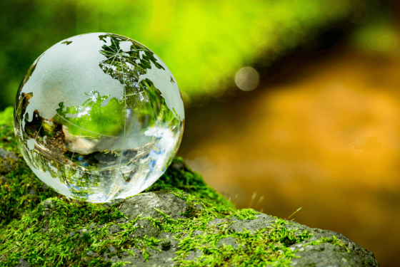 Environmental impact 