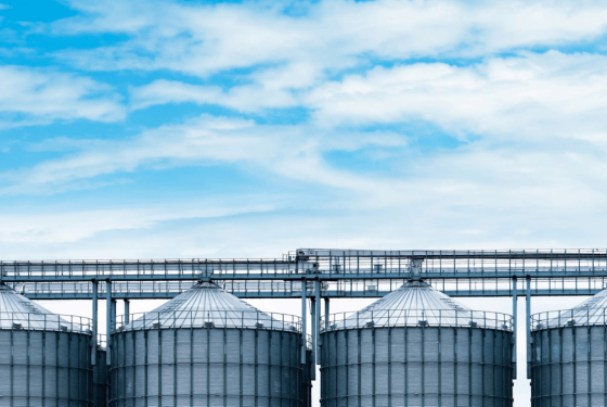 Optigen Sustainability Blog