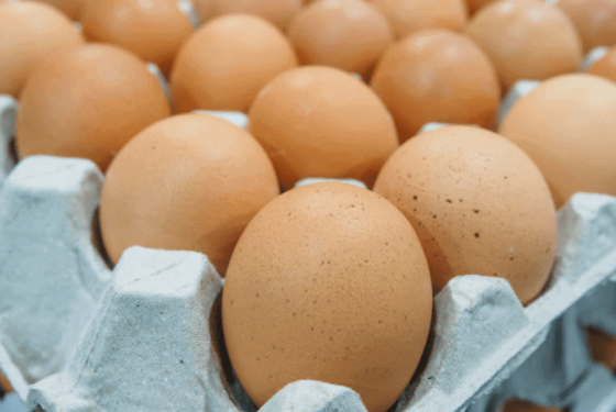 eggyt-FB-LI