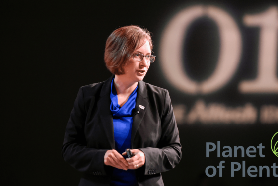 Dr. Anne Koontz