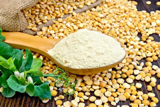 Alternative protein