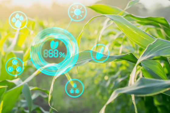 Sustainable agriculture