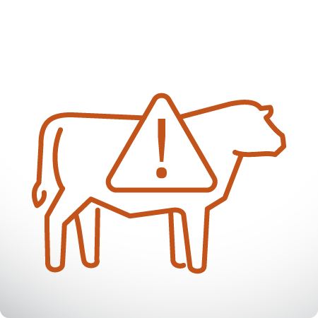 BRD Icon