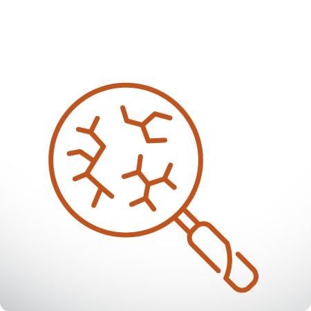 Micotoxinas