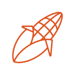 icon corn