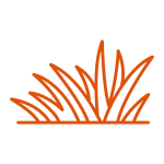icon grass