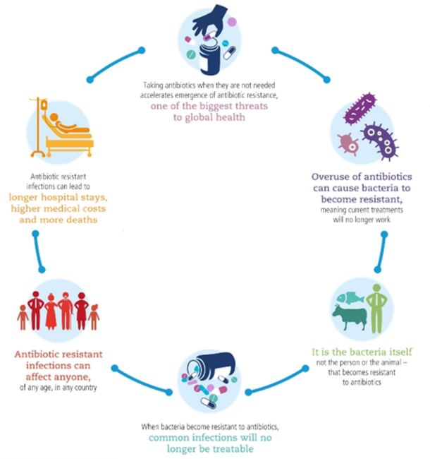 Reducing antibiotic and antimicrobial resistance image 1