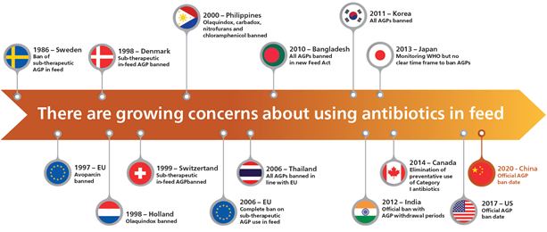 Reducing antibiotic and antimicrobial resistance image 2