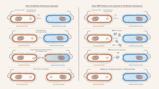 Reducing antibiotic and antimicrobial resistance image 3