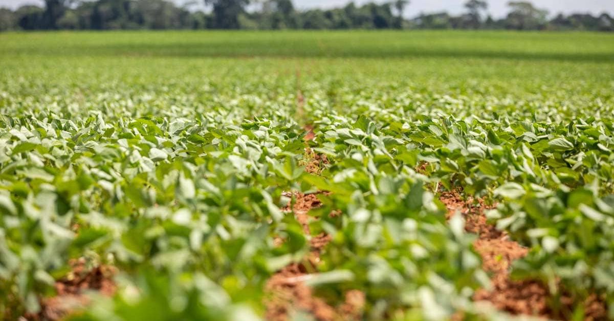 Agroecological-BLOG-min