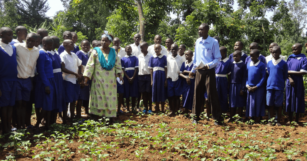Solve hunger in africa