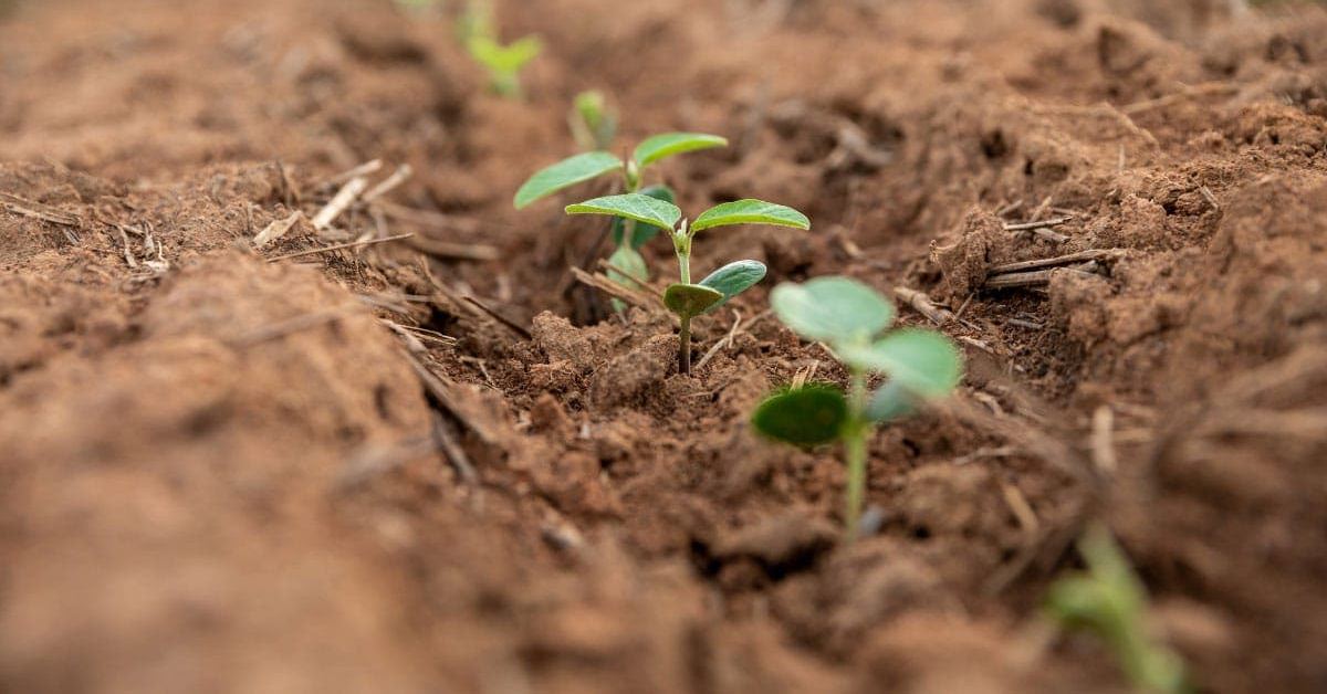 agroecology-BLOG