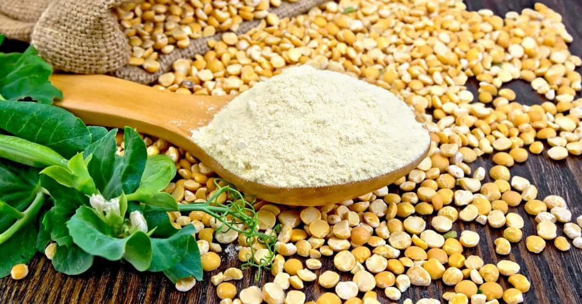 Alternative protein